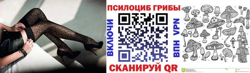 Купить  Павлово  Псилоцибиновые грибы MAGIC MUSHROOMS 